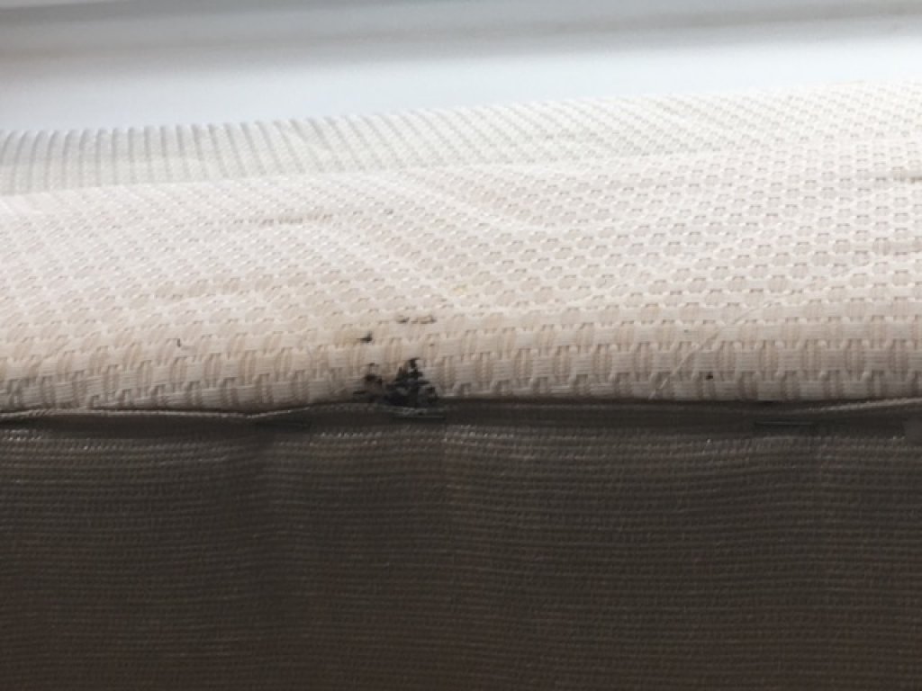 comment-punaises lit penetrent matelas