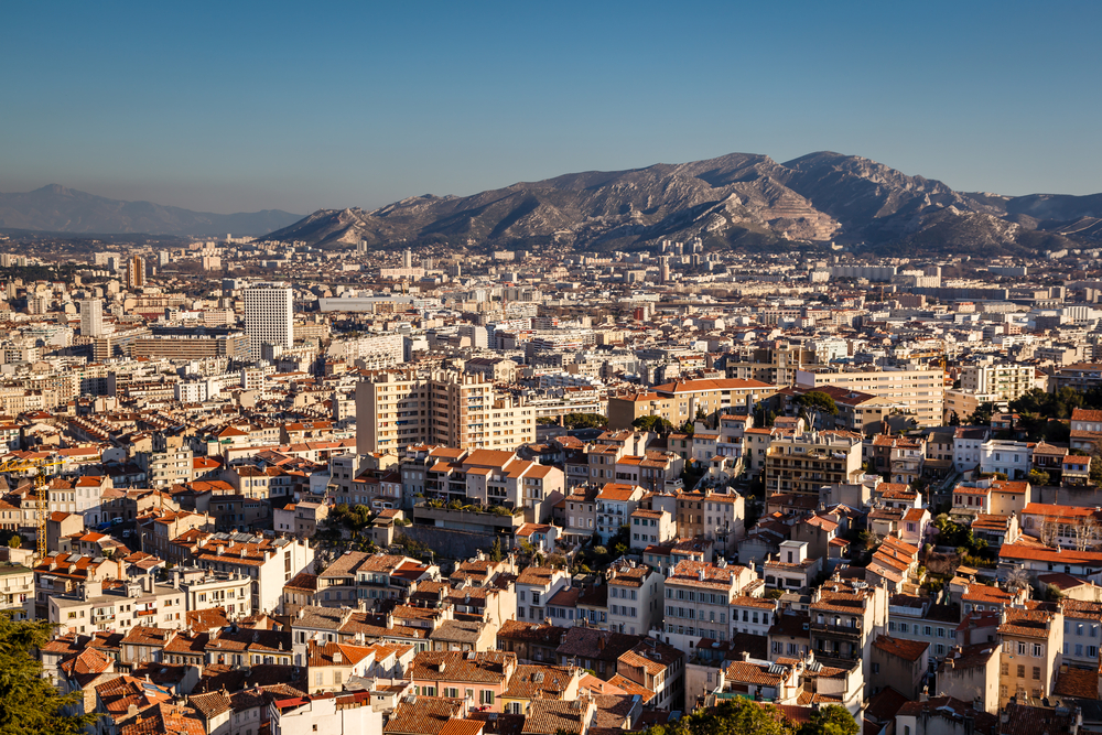 devis punaise lit marseille