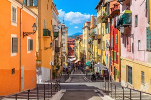 entreprise desinsectisation punaise lit alpes maritimes nice