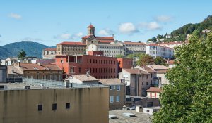 entreprise desinsectisation punaise lit ardeche privas