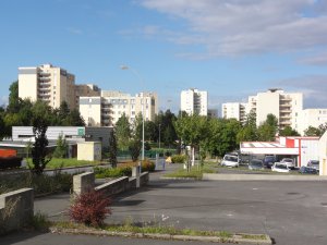 entreprise desinsectisation punaise lit ardennes charleville mezieres