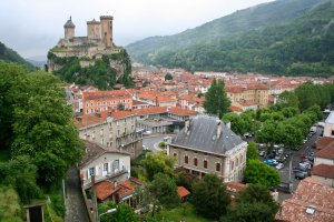 entreprise desinsectisation punaise lit ariege foix