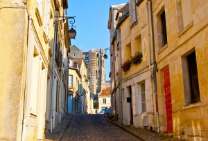 entreprise desinsectisation punaise lit aube laon