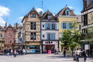 entreprise desinsectisation punaise lit aube troyes