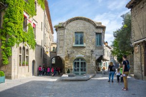 entreprise desinsectisation punaise lit aude carcassonne