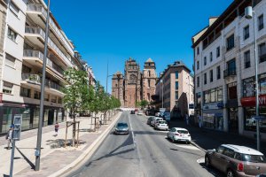 entreprise desinsectisation punaise lit aveyron rodez