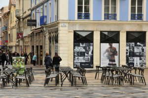 entreprise desinsectisation punaise lit drome valence