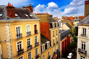 entreprise desinsectisation punaise lit ille vilaine rennes