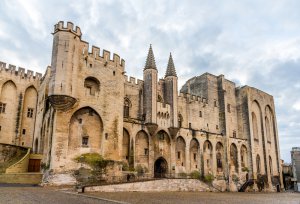 entreprise desinsectisation punaise lit vaucluse avignon