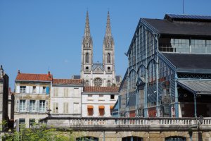 entreprise desinsectisation punaise lit deux sèvres niort