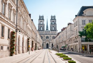 entreprisedesinsectisation punaise lit loiret orleans