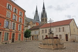 entreprise desinsectisation punaise lit marne chalons en champagne