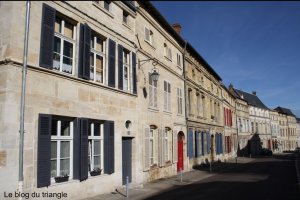 entreprise desinsectisation punaise lit meuse bar le duc
