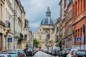 entreprise desinsectisation punaise lit nord lille