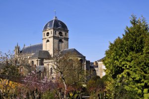 entreprisedesinsectisation punaise lit orne alencon