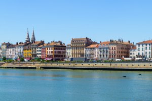 entreprise desinsectisation punaise lit saone loire macon