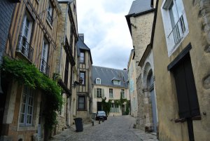 entreprise desinsectisation punaise lit sarthe le mans