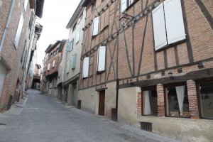 entreprise desinsectisation punaise lit tarn albi