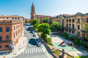 entreprise desinsectisation punaise lit tarn et garonne montauban