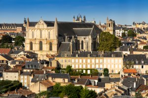 entreprise desinsectisation punaise lit vienne poitiers