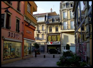 entreprise desinsectisation punaise lit vosges epinal