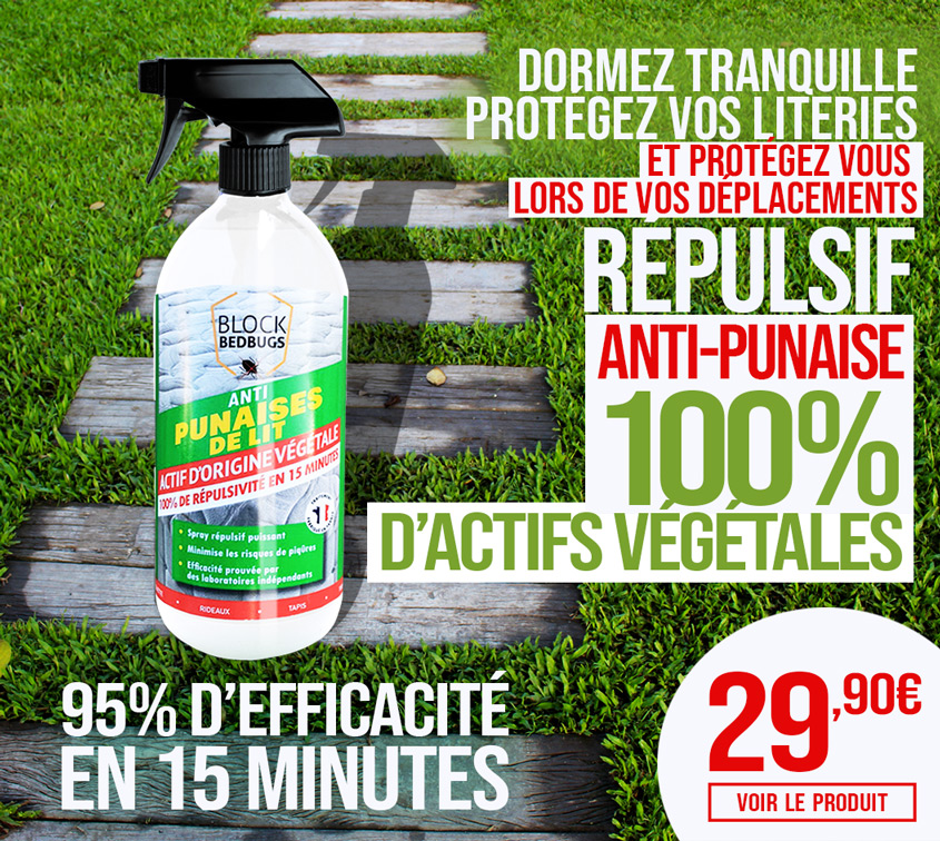 repuslif punaise de lit