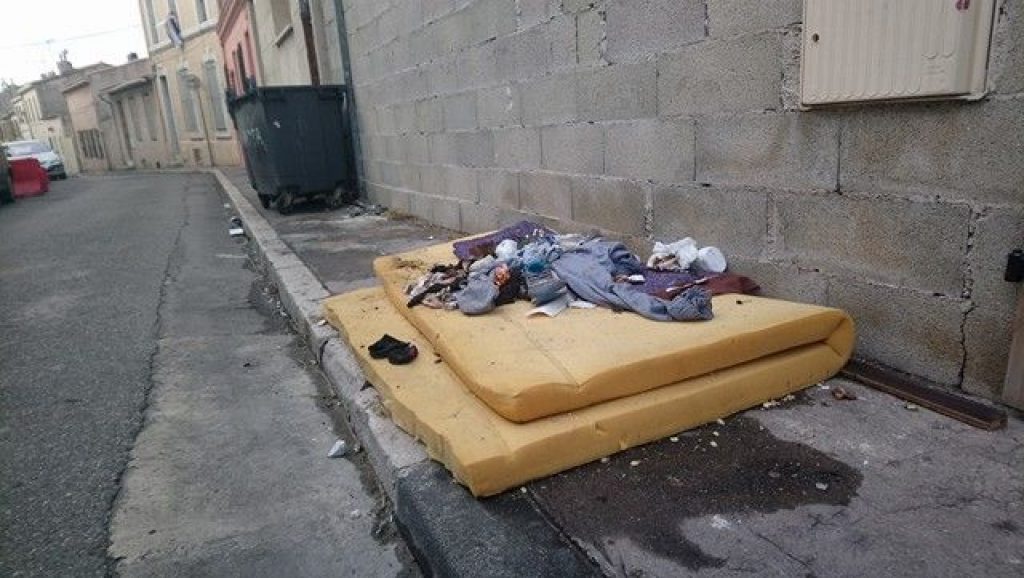 punaises de lit.